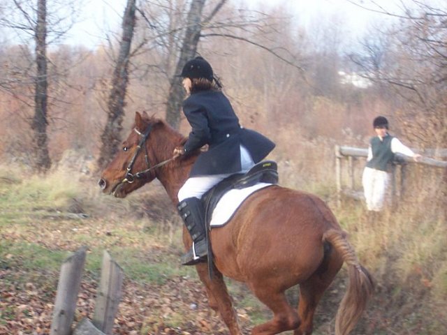 Hubertus 2006
